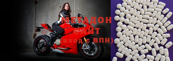 прущие грибы Баксан