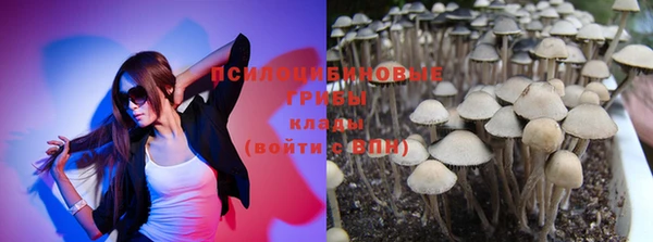 прущие грибы Баксан