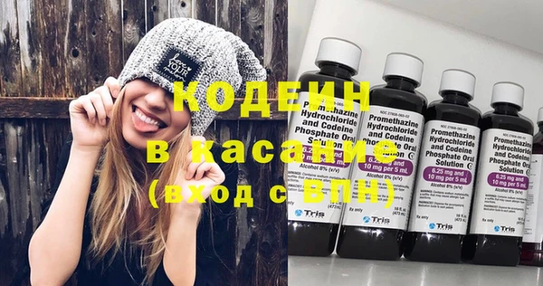 прущие грибы Баксан