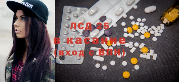 прущие грибы Баксан