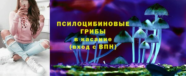 прущие грибы Баксан