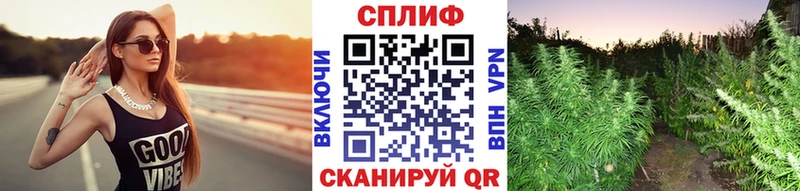 где найти   Горнозаводск  Конопля Amnesia 
